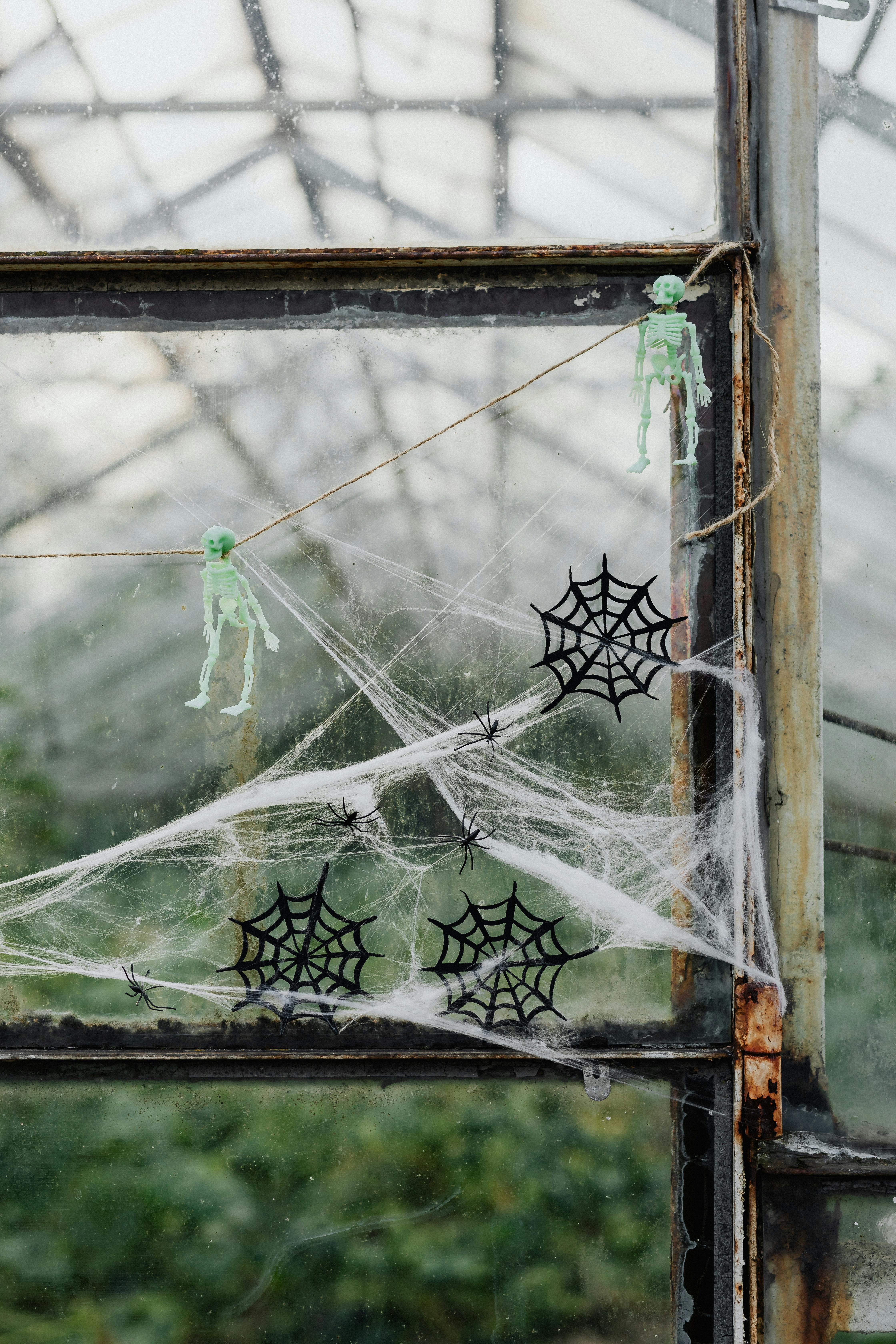Halloween decorations with spider webs, skeletons and spooky window display